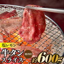 【ふるさと納税】塩レモン牛タンスライス・焼肉用(約600g).AB321