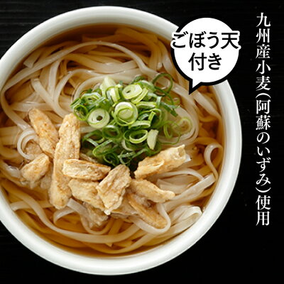 福岡県新宮町 【ふるさと納税】博多麺セット(豚骨ラーメン5食、ごぼ天うどん5食) とんこつ 長浜ラーメン ごぼう 天ぷら .Z139 画像3