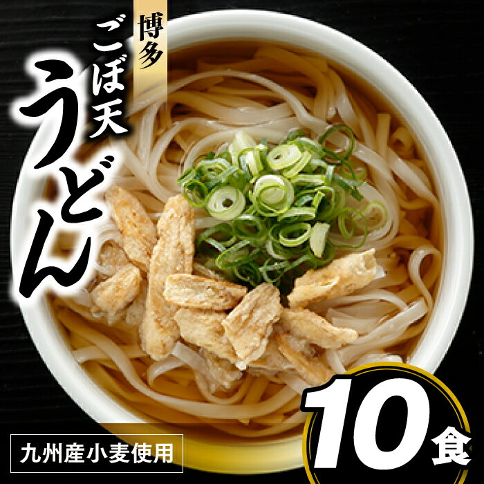 14位! 口コミ数「14件」評価「4.64」博多ごぼ天うどん10食 ごぼう 天ぷら .ZF079