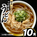 12位! 口コミ数「14件」評価「4.64」博多ごぼ天うどん10食 ごぼう 天ぷら .ZF079