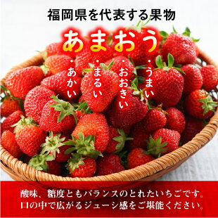 【ふるさと納税】人気No.1獲得謝礼品★限定品★あまおう約1,120g(先行受付.2019年1月以降発送)