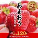 【ふるさと納税】人気No.1獲得謝礼品★限定品★あまおう約1，120g（先行受付．2019年1月以降発送）