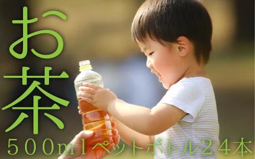 【ふるさと納税】CC005.福岡八女茶のペットボトル.緑茶（500ml×24本）×3ヵ月