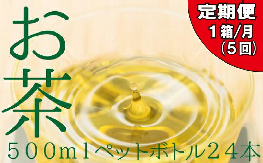 福岡八女茶のペットボトル.緑茶（500ml×24本）×5ヵ月 お茶 煎茶 日本茶 国産 茶葉.EE014