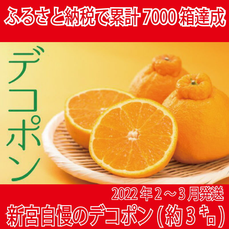 【ふるさと納税】A012.【昨年も大人気】デコポン（約3kg程度）☆2022年配送分予約受付中☆