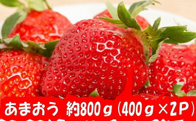 【ふるさと納税】A520.予約受付★限定品★あまおう（400g×2パック）／2021年12月〜2022年4月発送
