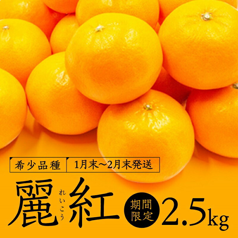 【ふるさと納税】【新種の柑橘】麗紅(れいこう)／約2.5キロ