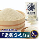 【ふるさと納税】特Aも獲得した自慢のお米『元気つくし』5kg 国産 白米 精米 ご飯 .ZH092
