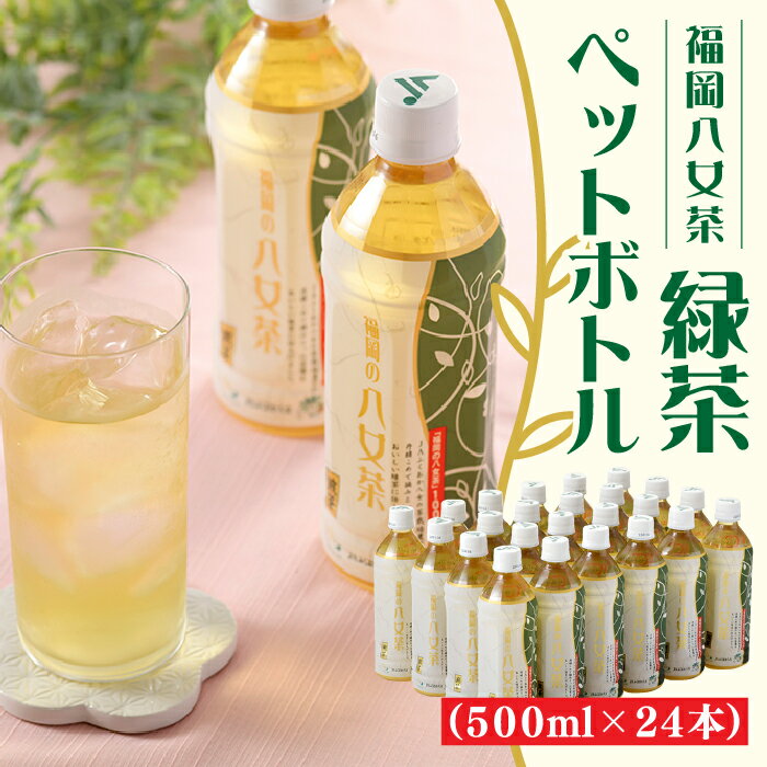 福岡八女茶のペットボトル.緑茶（500ml×24本） お茶 煎茶 日本茶 国産 茶葉 .AA149