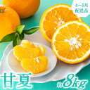 【ふるさと納税】【予約受付・期間限定商品】福岡柑橘王国・樹成り完熟甘夏(2026年4月〜5月配送予定)あまなつ みかん フルーツ 旬 季節 果物.AA093