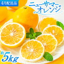 【ふるさと納税】福岡柑橘王国.ニューサマーオレンジ約5kg/2026年4月配送 数量限定 日向夏 小夏みかん 果物 旬 季節 果物 .AA115(4)