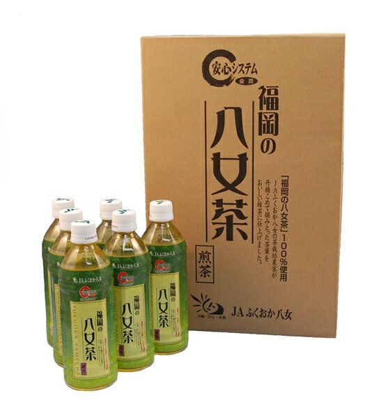 【ふるさと納税】JB004.福岡八女茶のペットボトル.緑茶（500ml×24本）×12ヵ月