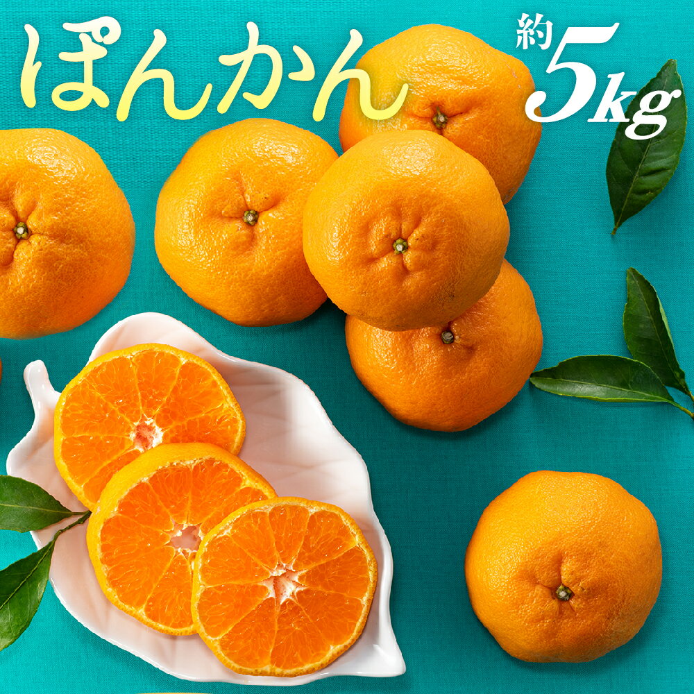 【ふるさと納税】ぽんかん(5kg程度)/2025年12月~2026年1月配送予定 ポンカン 柑橘 産地直送. AA076