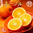【ふるさと納税】ネーブル(3kg程度)/2025年12月〜2026年1月配送 ネーブルオレンジ 柑橘 フルーツ 旬 季節 果物.AA077