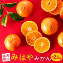 【ふるさと納税】【希少品種】みはやみかん／約2.5キロ 2024年12月上旬～2025年1月末発送予定 赤橙色 柑橘．AA088