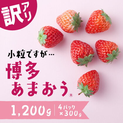 【訳あり.限定品】あまおう.小粒ですが約1200g（先行受付．2025年1月以降発送） いちご 苺 高級 フルーツ.AB380