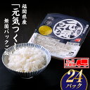 28位! 口コミ数「0件」評価「0」FE002.【定期便】福岡県産「元気つくし」無菌パックご飯(24パック)×5ヶ月送付