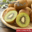 【ふるさと納税】A260.九州・福岡フルーツ王国より直送.人...