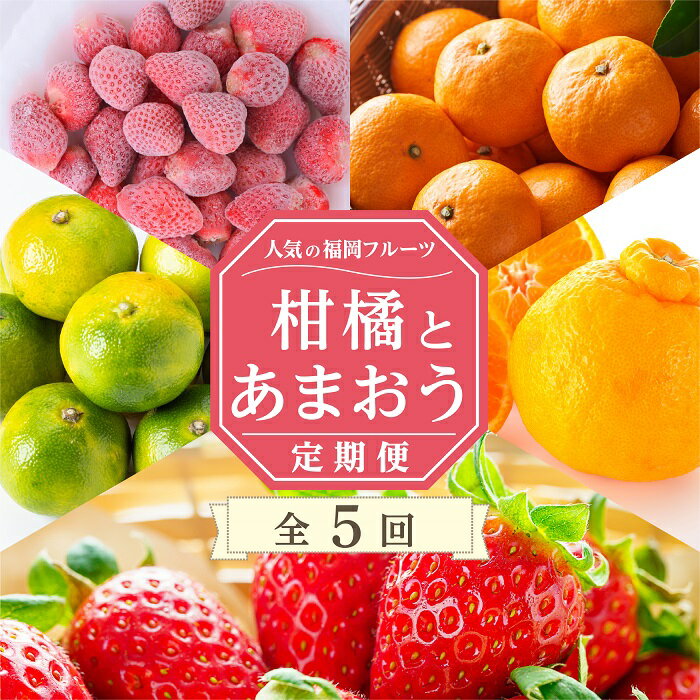 【ふるさと納税】【人気の福岡フルーツ】柑橘とあまおう定期便 あまおう デコポン いちご 苺 旬 季節 果物 .EG006のサムネイル