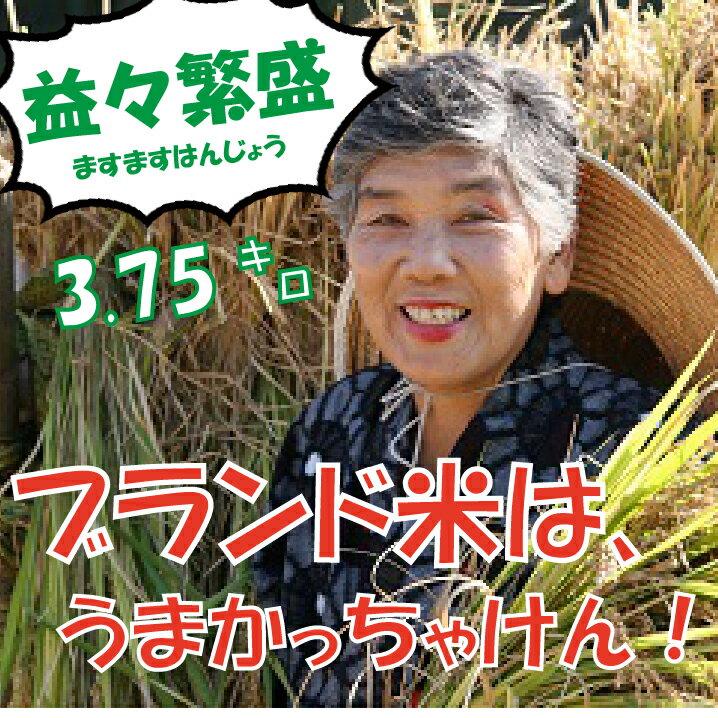 14位! 口コミ数「0件」評価「0」立花山で育てました！【ますますはんじょう（益々繁盛）セット】.A1365