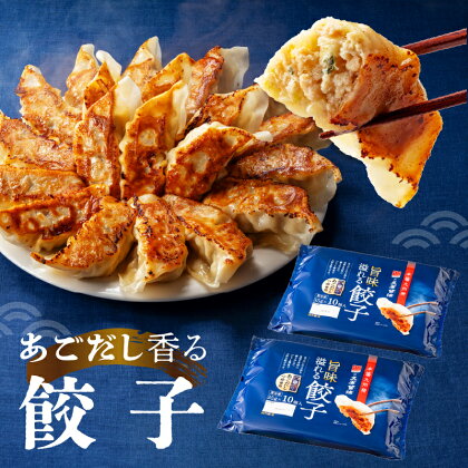 福岡・博多の味・八洋食品×久原醤油『旨味溢れる餃子』20個入（10個入×2P）.ZF116