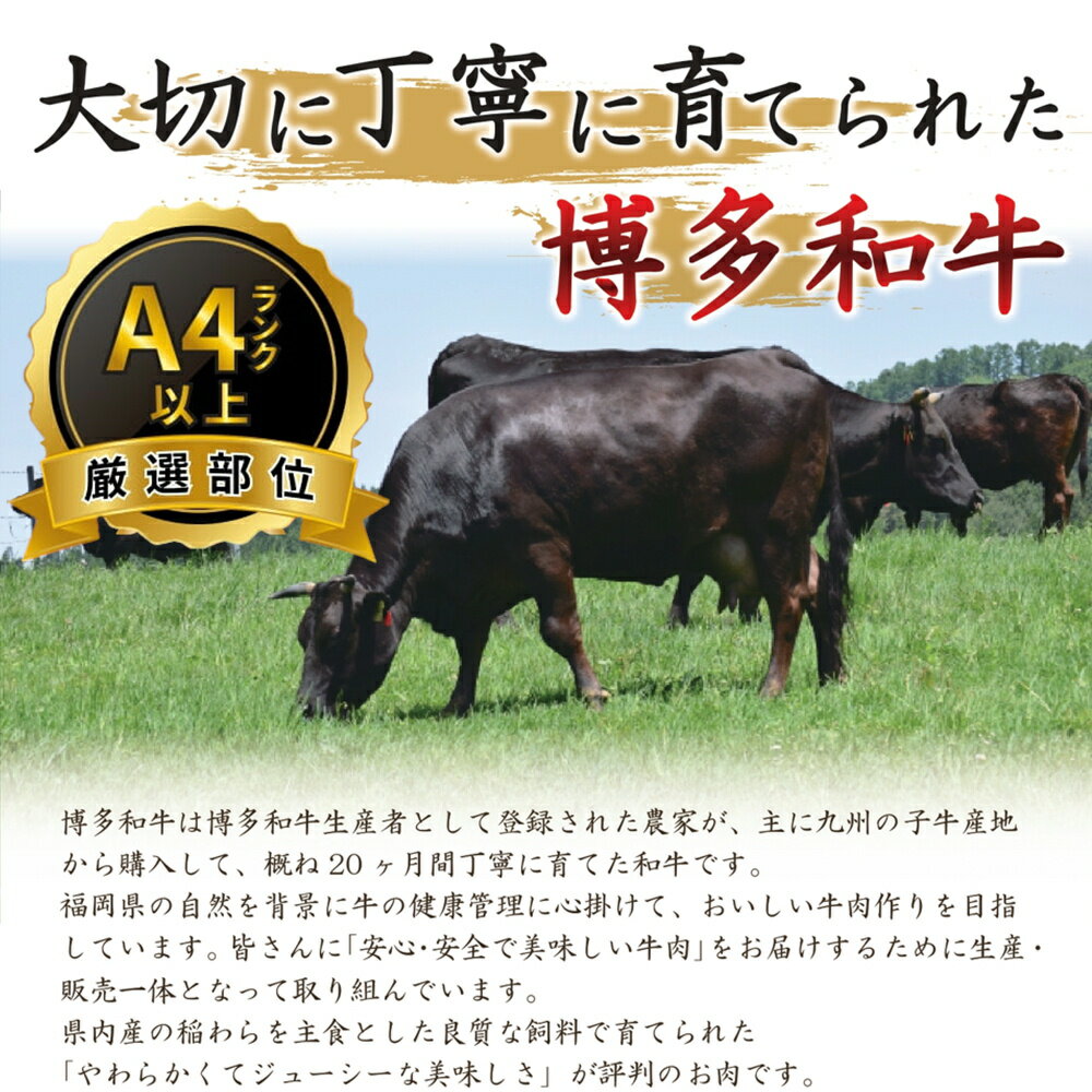 【ふるさと納税】【訳あり！】博多和牛しゃぶすき用（500g）.AB341