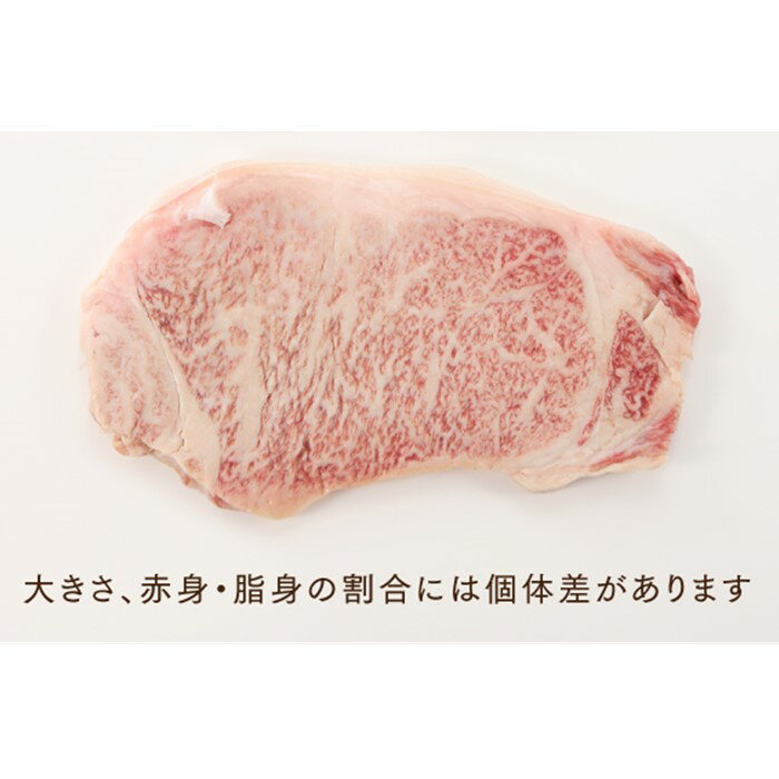【ふるさと納税】博多和牛サーロインステーキ（250g）【博多和牛】.AB343