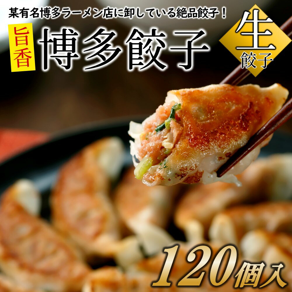 【ふるさと納税】【創業40年の老舗が誇る味わい】博多餃子120個 国産 豚肉 野菜 ギョーザ. AB285