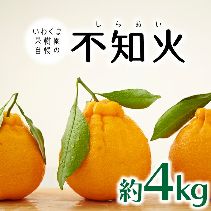 【ふるさと納税】いわくま果樹園自慢の不知火/約4kg(2026年2~3月発送予定).AA196