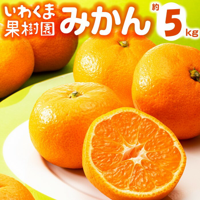 いわくま果樹園から直送品の温州みかん(約5kg)/2025年9月下旬〜2026年1月下旬発送予定★予約分★