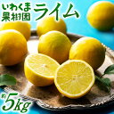 【ふるさと納税】貴重な国産ライム.約5kg.新宮町産の逸品です/2025年10月〜12月発送予定.AA206
