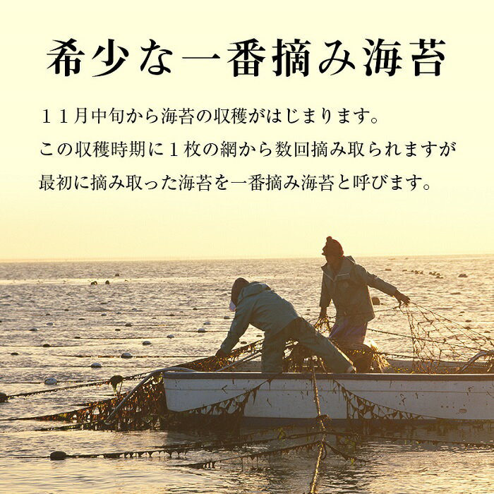 【ふるさと納税】有明海産一番摘み.味海苔.大丸ボトル（8切80枚・5本セット）.AA144