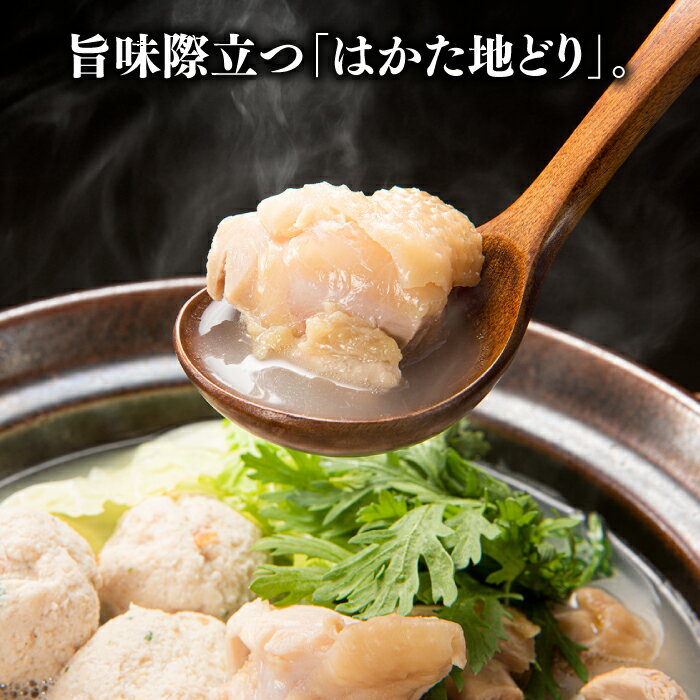 【ふるさと納税】水炊きと使いやすいもも肉切身セット【水炊き】.BE040