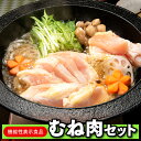 【ふるさと納税】機能性表示食品むね肉セット【はかた地どり】.AB329