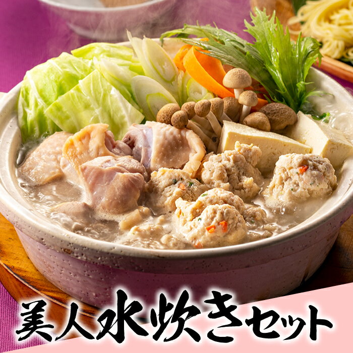 【ふるさと納税】美人水炊きセットA【水炊き】.AB328
