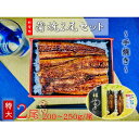 【ふるさと納税】うなぎ蒲焼2尾(計400~500g).AG094(4)