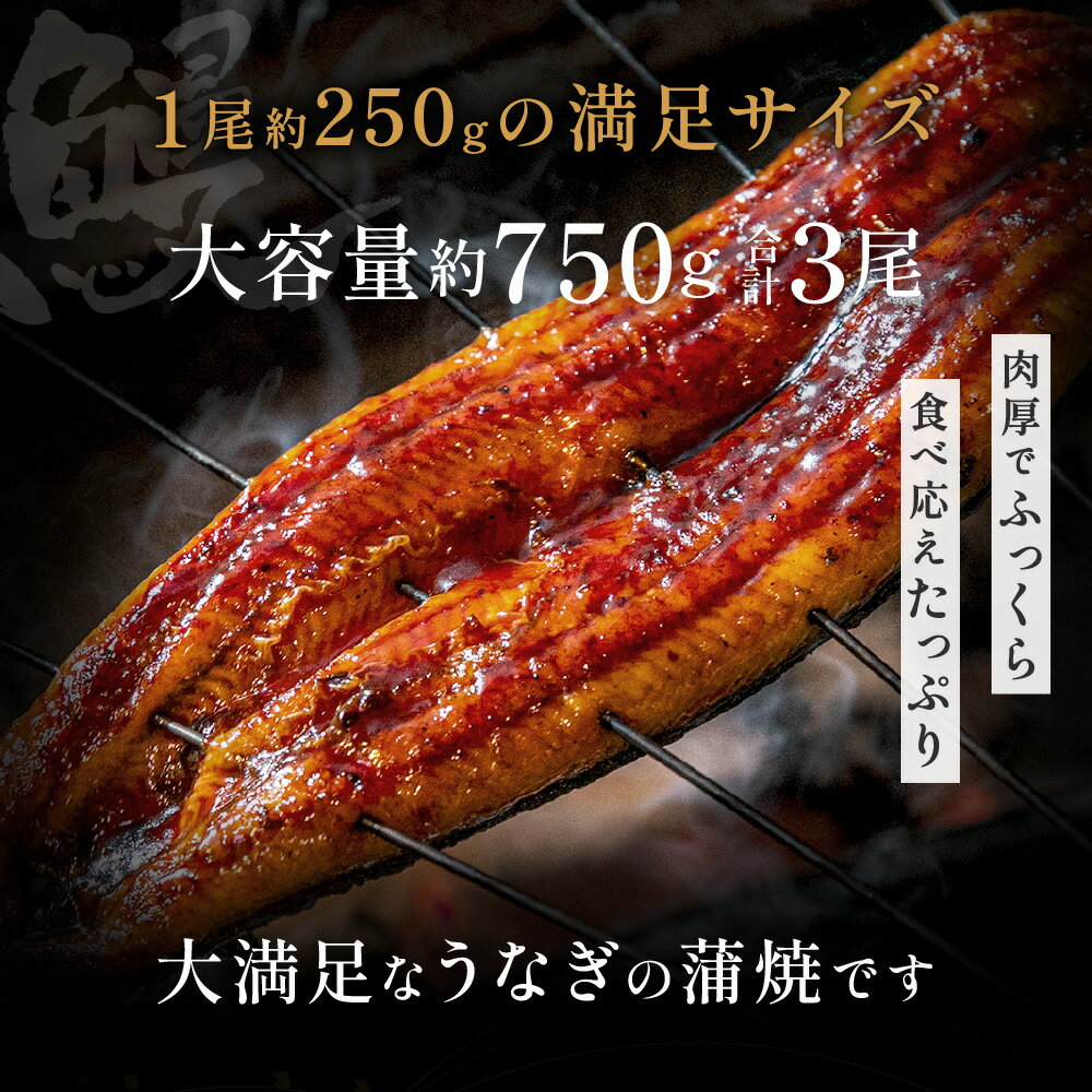 【ふるさと納税】うなぎ蒲焼き3尾セット（約250g×3尾）.AF098