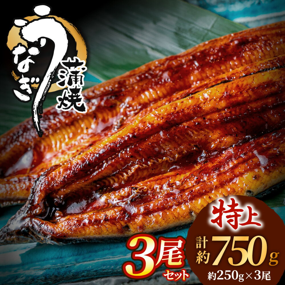 【ふるさと納税】うなぎ蒲焼き3尾セット（約250g×3尾）.AF098