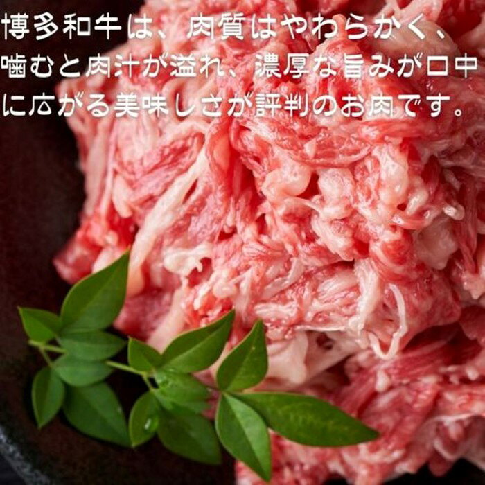 【ふるさと納税】訳あり！博多和牛A4～A5ランク切り落とし（選べる容量）【博多和牛】