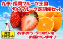 5位! 口コミ数「8件」評価「4.13」【予約受付中】九州・福岡フルーツ王国.旬のフルーツ定期便Iセット 全2回 あまおう デコポン いちご 苺 不知火 旬 季節 果物 .BC00･･･ 