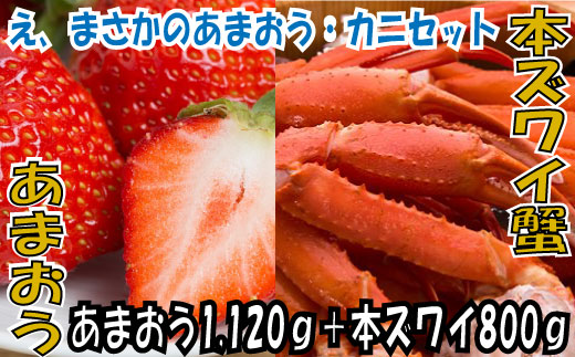 【ふるさと納税】B131.冬を満喫．あまおう（1120g）・カニ（800g）セット