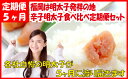 【ふるさと納税】E052.福岡は明太子発祥の地.辛子明太子食...