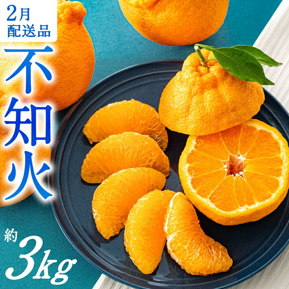 農家直送の不知火/約3kg(2026年2月発送予定)