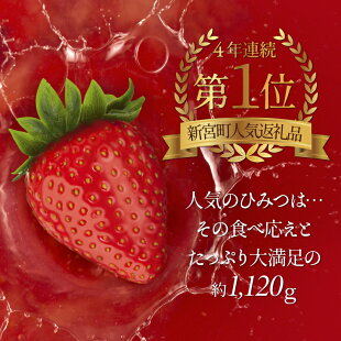 イメージ画像4