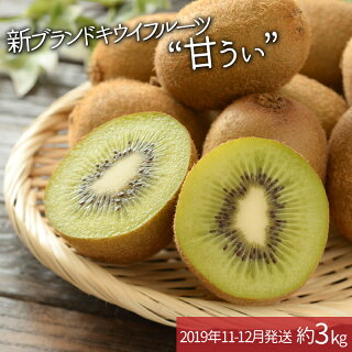 キウイフルーツふるさと納税 キウイフルーツふるさと納税