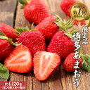 【ふるさと納税】人気No.1獲得謝礼品★限定品★あまおう約1...
