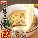 【ふるさと納税】カトキチ 具付き！ごぼう天うどん 合計12食