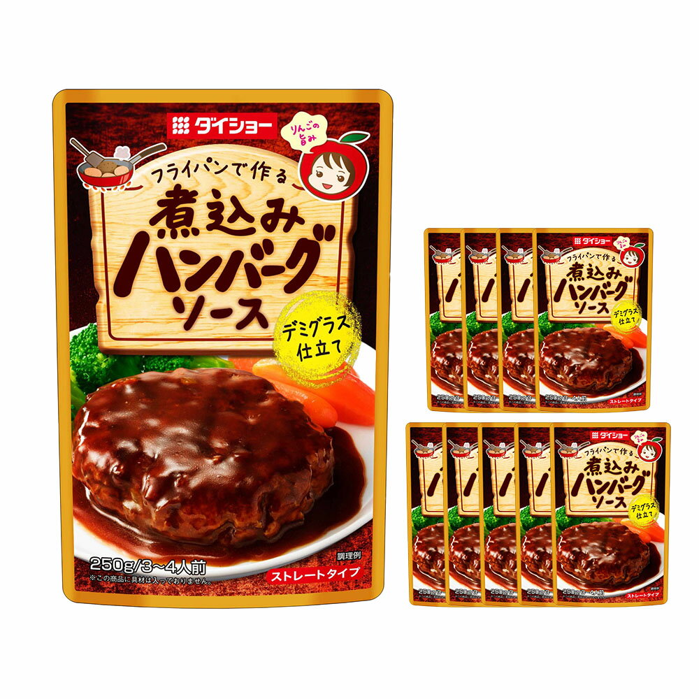 煮込みハンバーグソース 計2.5kg(250g×10袋) トマトケチャップ デミグラス 玉ねぎ 野菜 りんご チャツネ フルーティー ハンバーグ ソース 調味料 惣菜 福岡県 久山町 送料無料