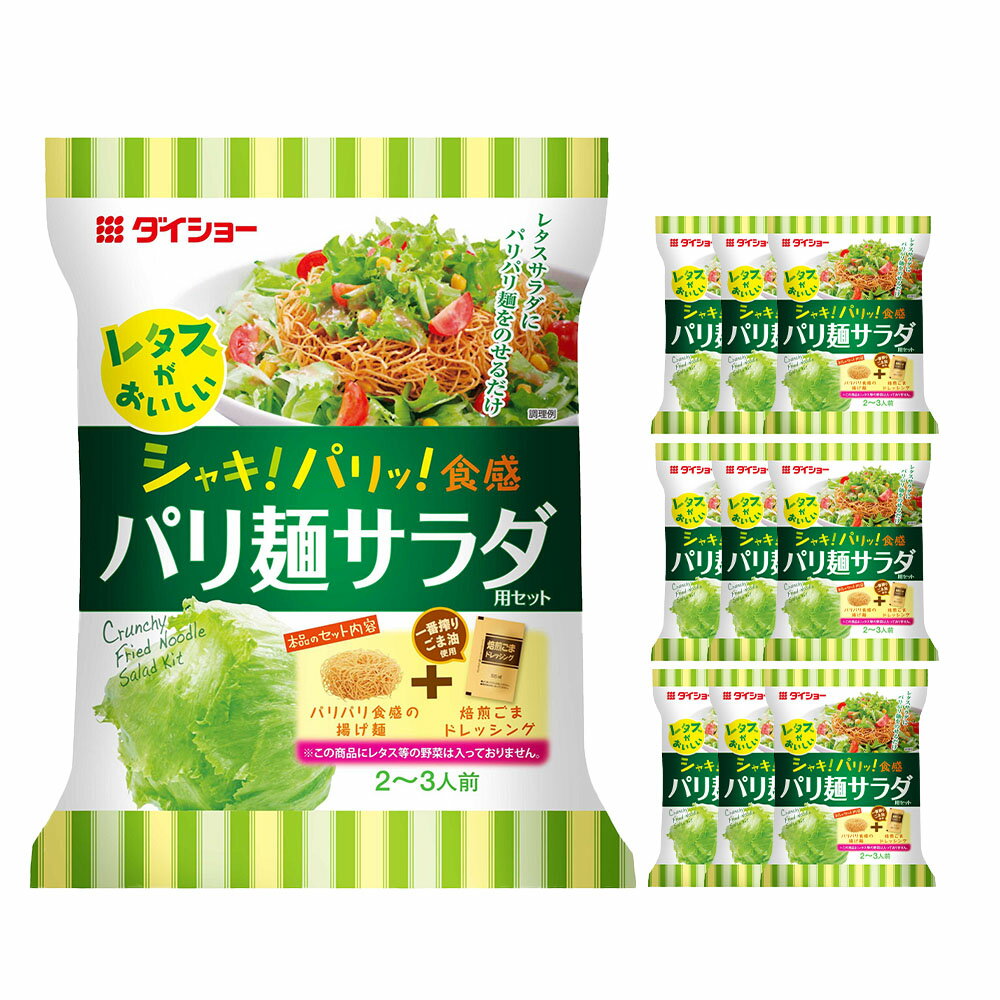 レタスがおいしいパリ麺サラダ 計950g(95g×10袋) 焙煎ごまドレッシング付き 野菜 やさい 揚げ麺 油揚げめん サラダ 惣菜 おかず 福岡県 久山町 送料無料
