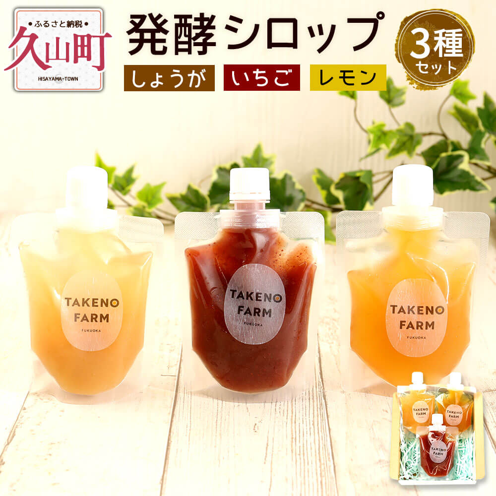 【ふるさと納税】発酵 シロップ 3種 しょうが・レモン・いち